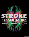 STROKE REHABILITATION